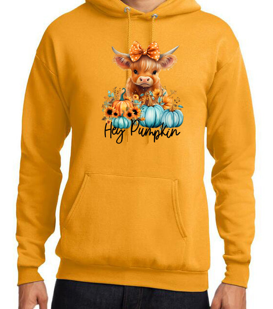 Fun and Cute Fall Sweatshirts