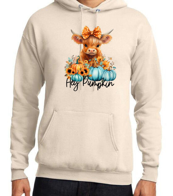 Fun and Cute Fall Sweatshirts